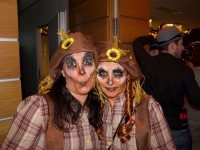 dsc_1377 dsc_1377